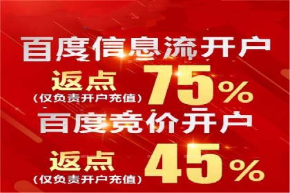 突破SEO困境：托管竞价SEM实战案例